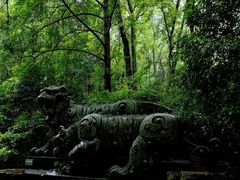 -虎跑公园
