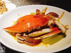 葱姜炒梭子蟹-星龙海鲜(望江东路店)