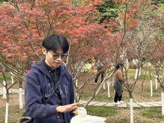 -广州市帽峰山景区