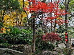 -成都市活水公园