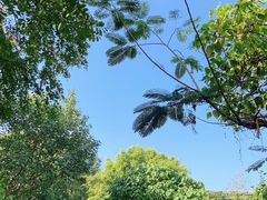 -华侨城湿地公园