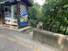 -黔灵山公园