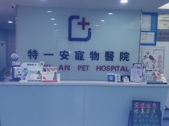 -特一安24小时宠物医院·骨科·中兽医