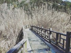 -东海大峡谷