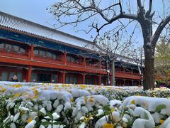 -北京石刻艺术博物馆(五塔寺)