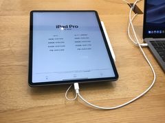 -Apple 零售店(Canton Road)