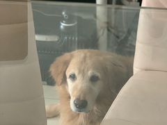 -乐凯撒披萨(东方新世界店)