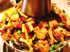 铜锅牛蛙-蛙蛙叫干锅年代(簋街总店)