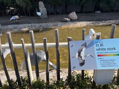 -齐齐哈尔龙沙动植物园