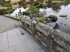 景点-水前寺成趣园