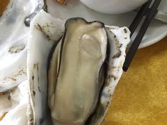 -蚝专家(北滘店)