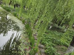 -桐乡植物园