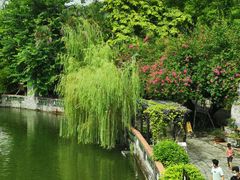 -东莞市可园博物馆