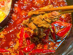 -阳阳老火锅(小南门店)