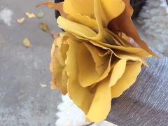 -辽宁大学(崇山校区)