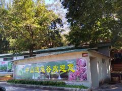-逍遥谷景区