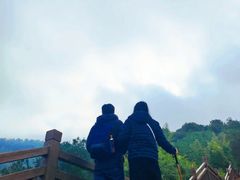 -铁山坪森林公园