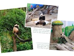 -广州长隆野生动物世界