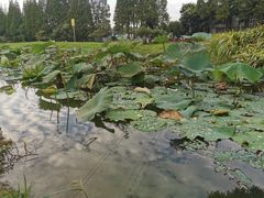 -蜀绣公园