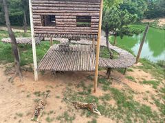 -西霞口神雕山野生动物世界