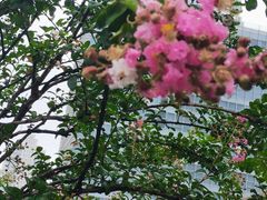 -临沂华盛江泉城大酒店