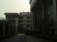 -上海民办至德实验学校