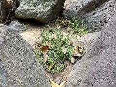 -南京市江宁方山