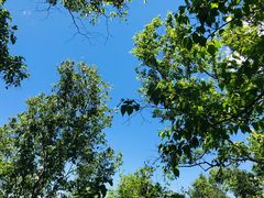 -白草畔自然风景区