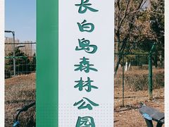 -长白岛森林公园