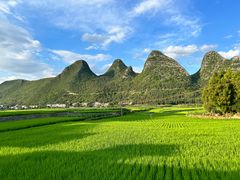 -万峰林风景区
