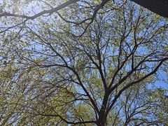 -红嫂家乡旅游区