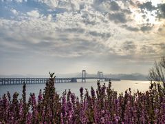 -星海湾跨海大桥