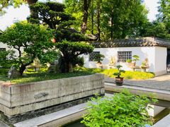 -上海醉白池公园