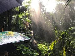 -青青世界