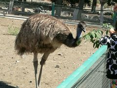 -新疆天山野生动物园