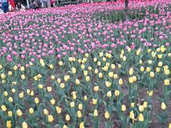 景点-长春公园(普阳街道)