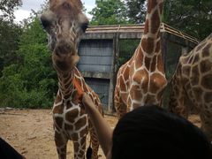 -清迈夜间动物园