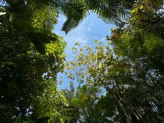 -碧桂园润杨溪谷温泉酒店