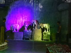 -清迈夜间动物园