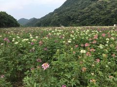 -广州市石门国家森林公园