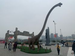 -恐龙探索乐园(磁器口店)