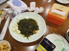 -邵年鸽(杨庄店)
