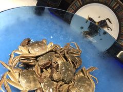 -加餐海鲜自助(宝龙一城店)