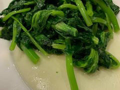 清炒豆苗-梅龙镇酒家(南京西路总店)