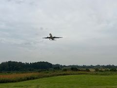 -空港花田景区