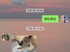 -柏萃动物医院·骨科·牙科