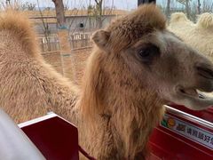 -南京金牛湖风景区