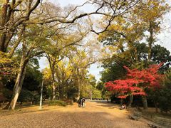 -京都御所