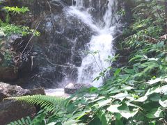 -大雁山风景区