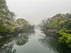 -西湖游船